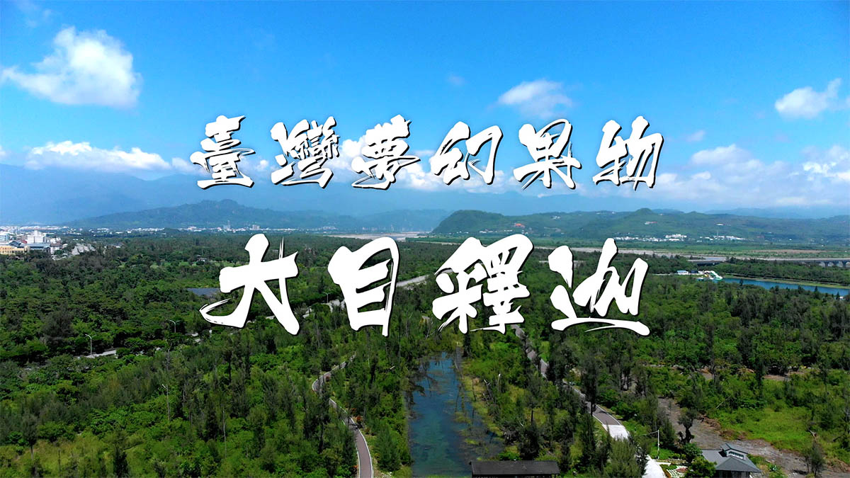 臺灣夢幻果物大目釋迦｜影片・宣傳影片