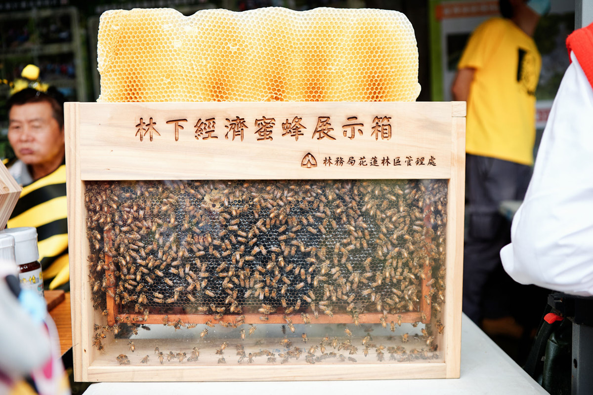 2020 保安林書市集 花蓮鯉魚潭(27)