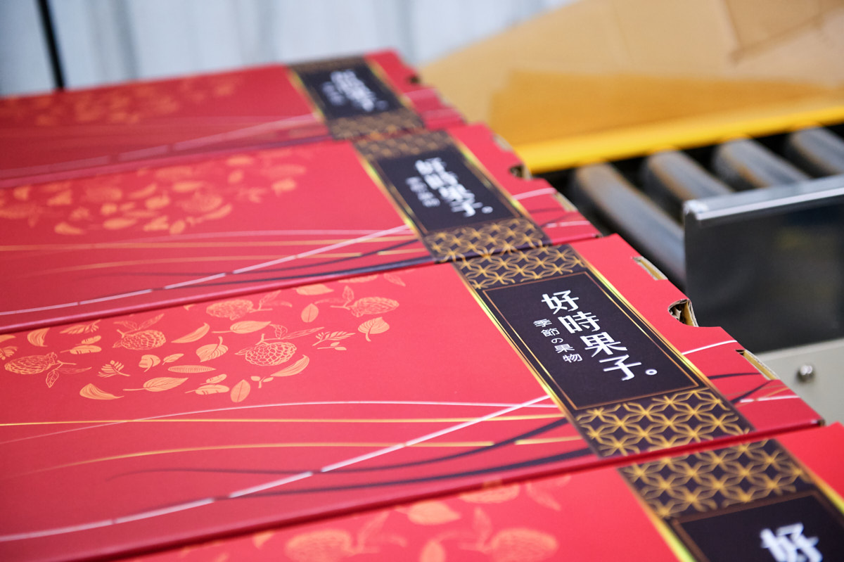 好時果子 鳳梨釋迦 台東特產（16）