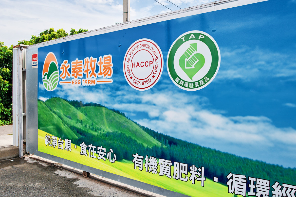 永泰牧場 形象拍攝（2）