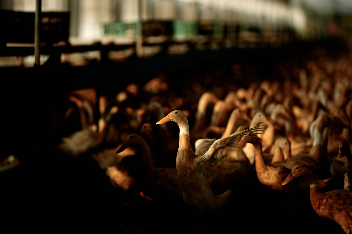 浤良食品 台東店家形象攝影｜平面・商家形象