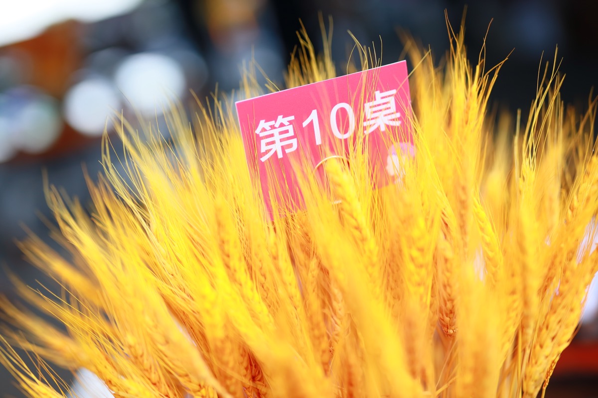雅芳晚宴（4）