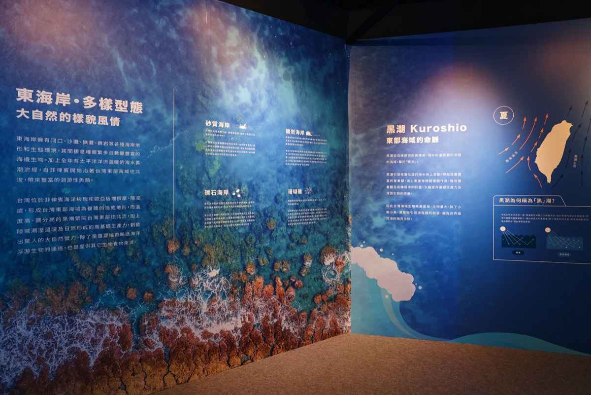波浪屋12號店－追浪逐流空間拍攝（3）