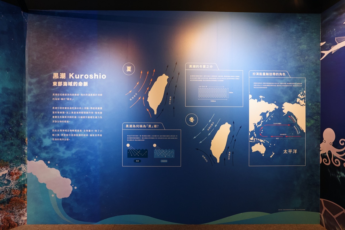 波浪屋12號店－追浪逐流空間拍攝（4）