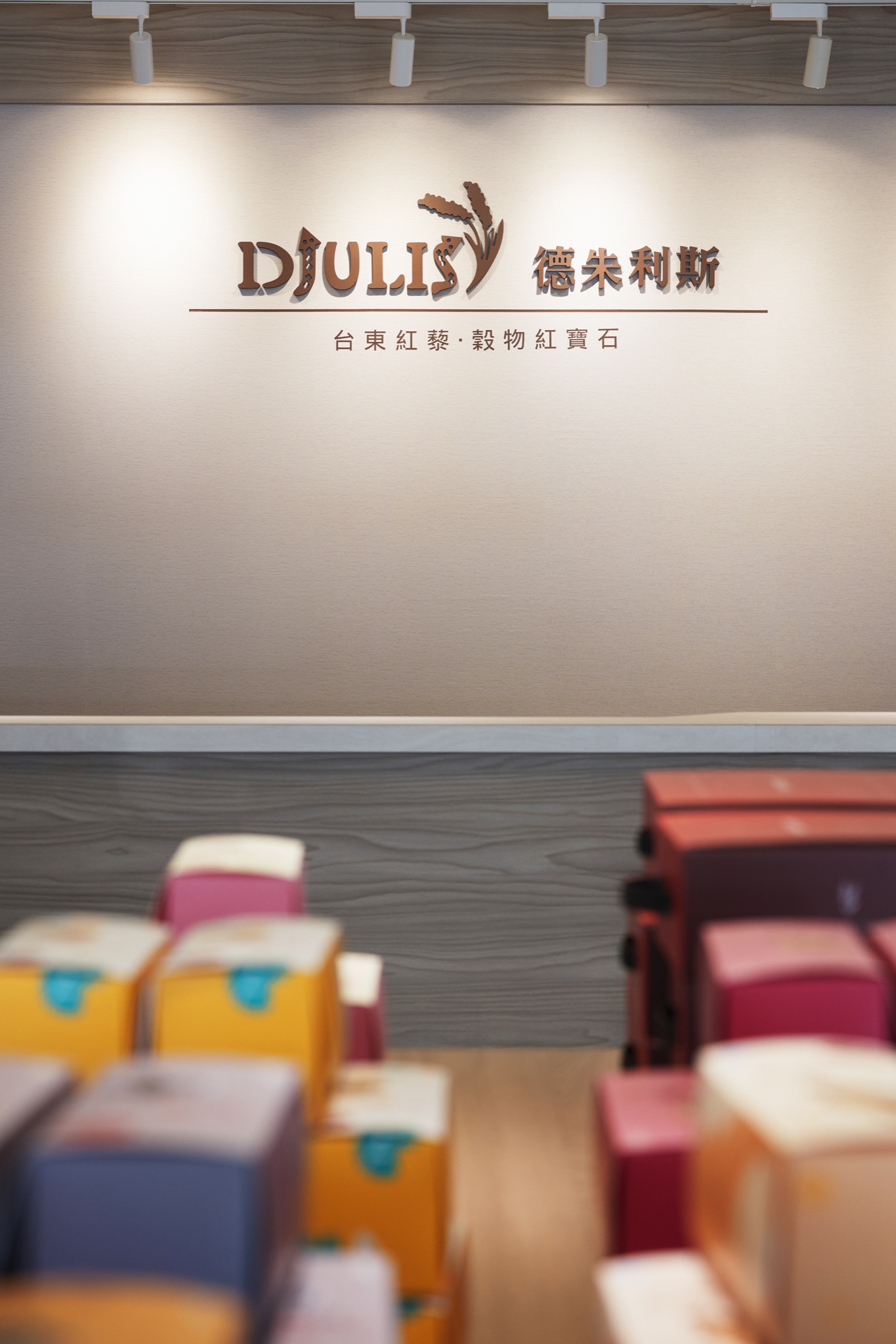 Djulis 德朱利斯 空間拍攝(8)