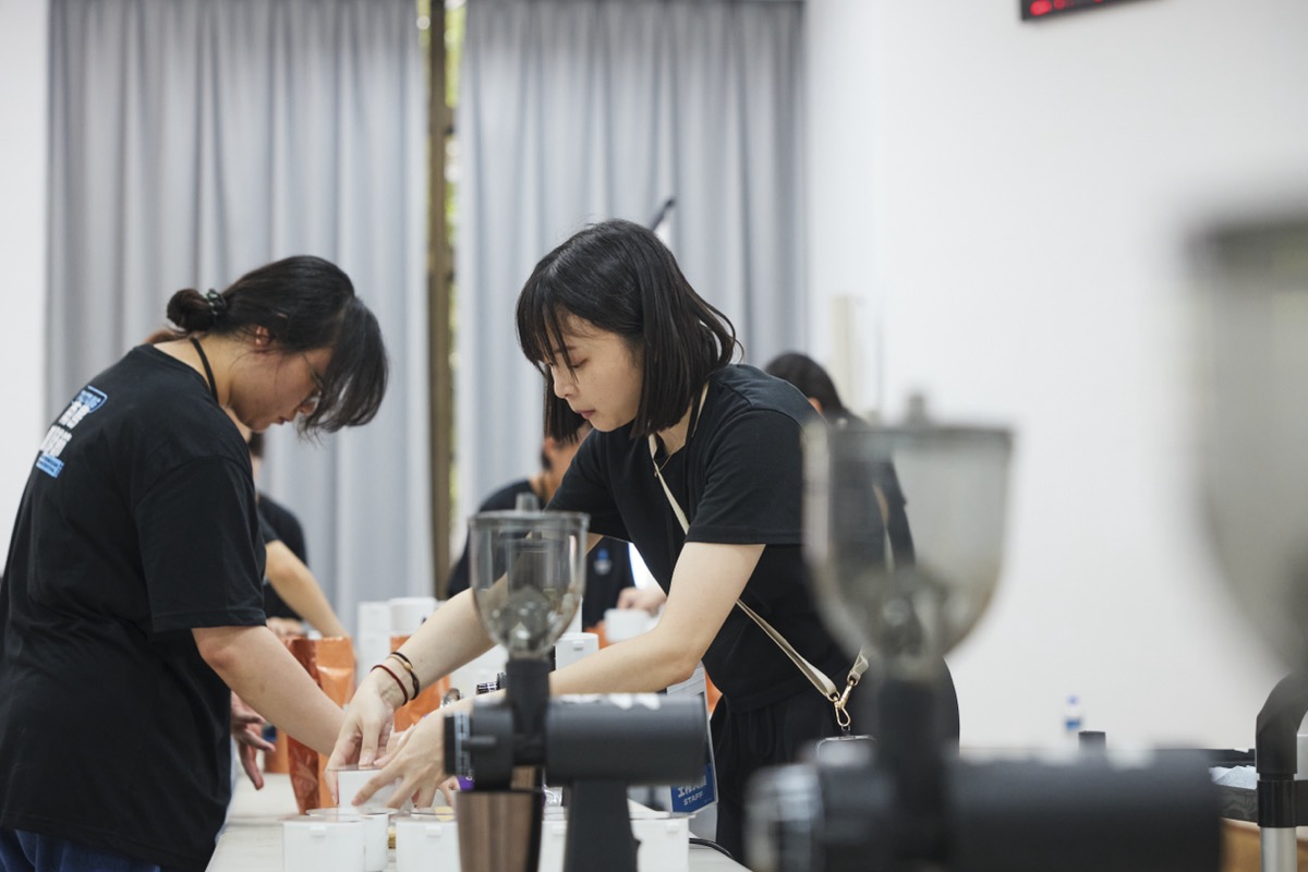 臺東縣精品咖啡評鑑競賽(8)