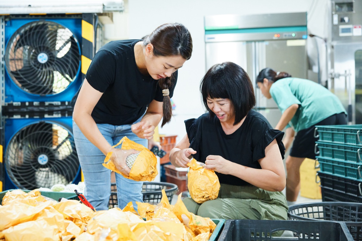 山谷創生之旅(6)