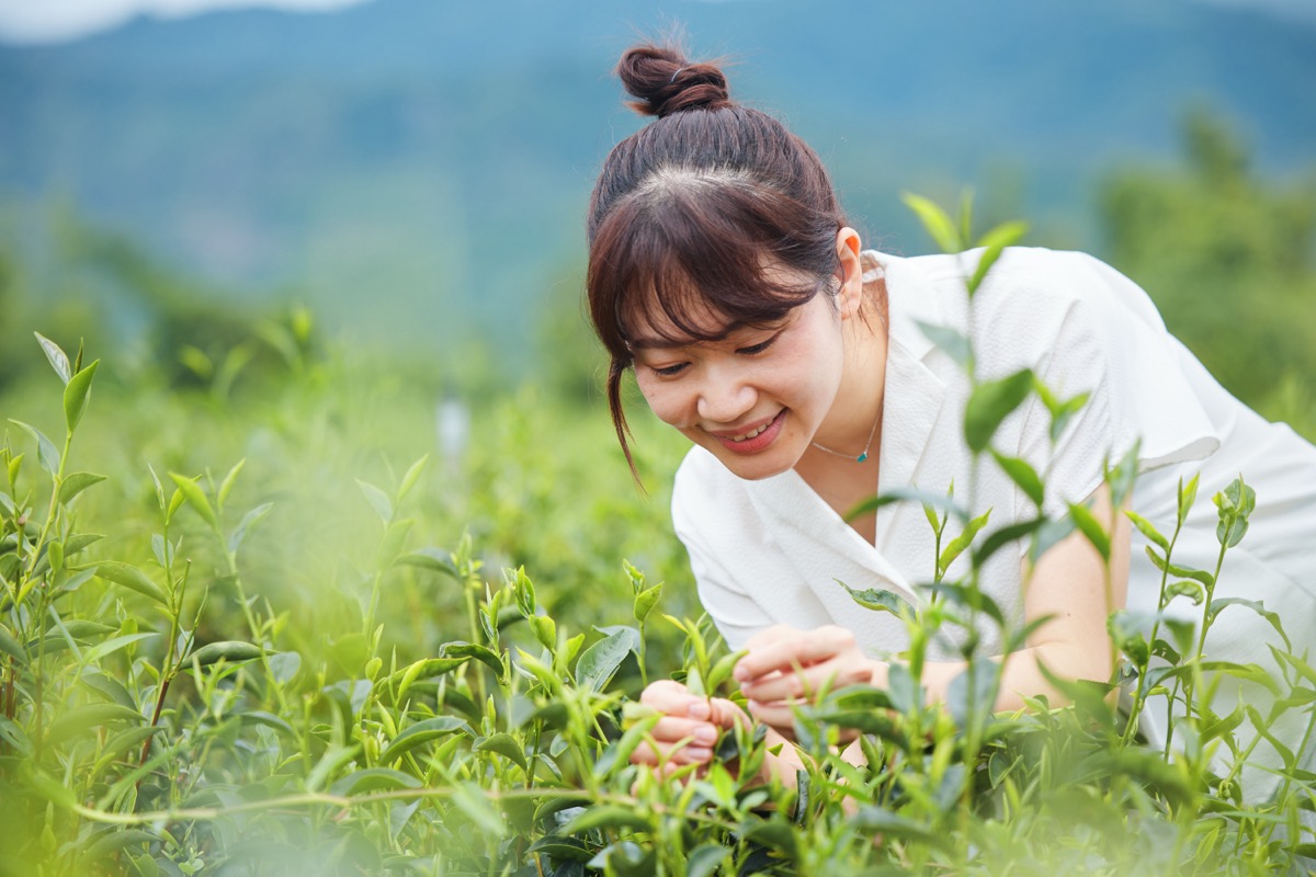山谷創生之旅(26)