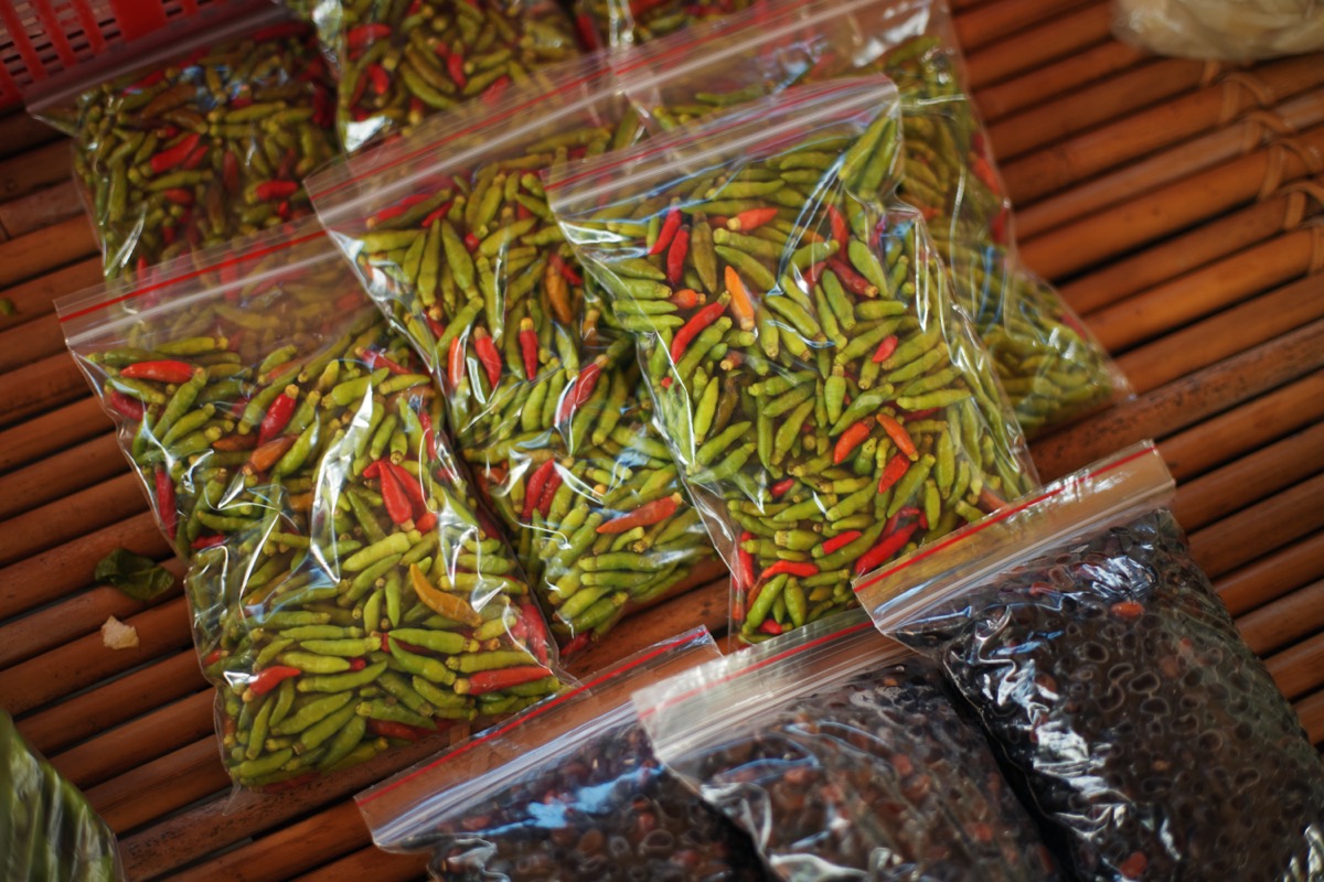 南迴原鄉創生之旅（3）