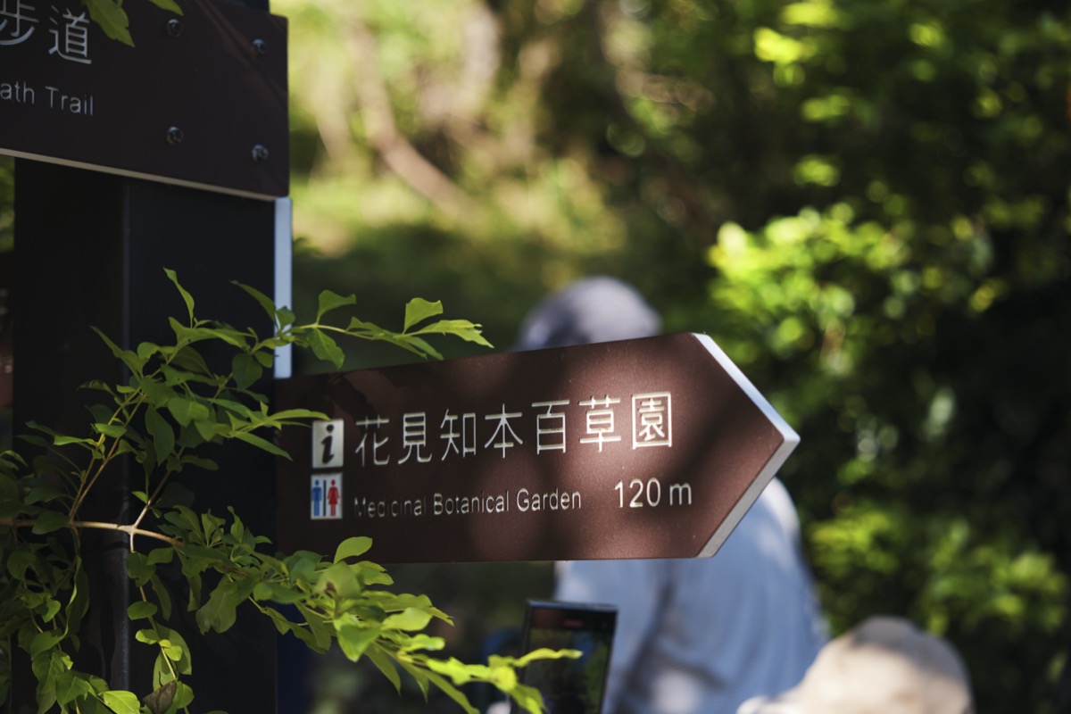 淨心慢旅行-知本森林癒（7）