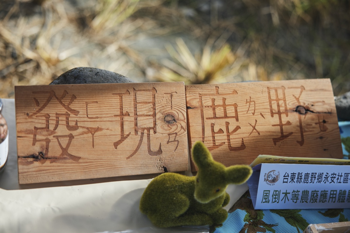 臺東農村Fun party（8）