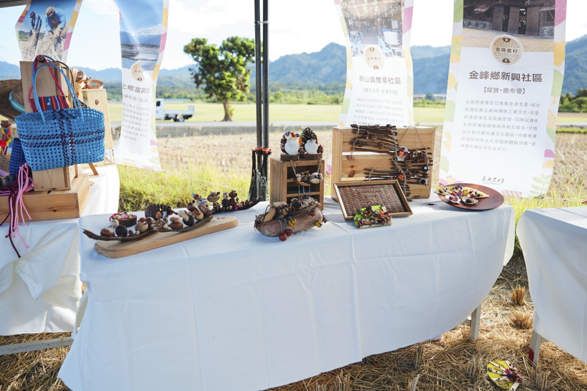 臺東農村Fun party（10）