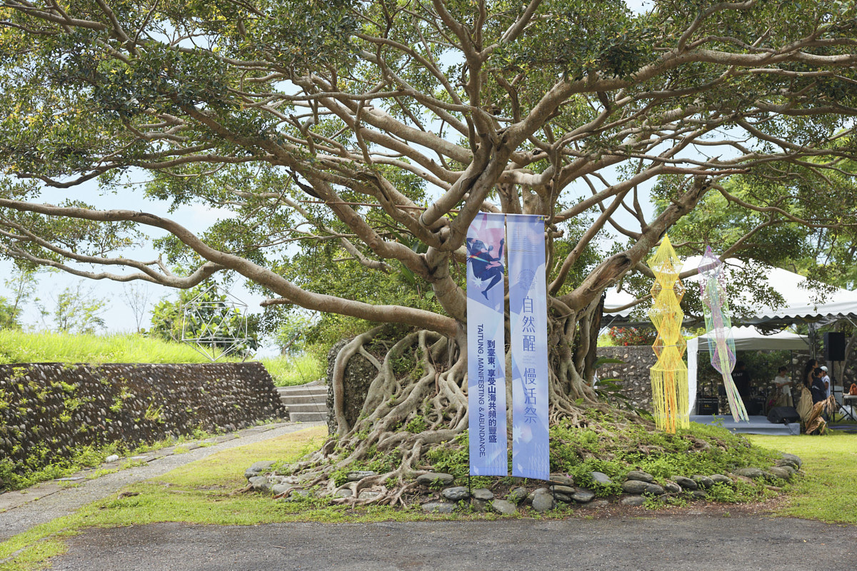 淨心慢旅行 長濱漫遊・療癒走讀（1）