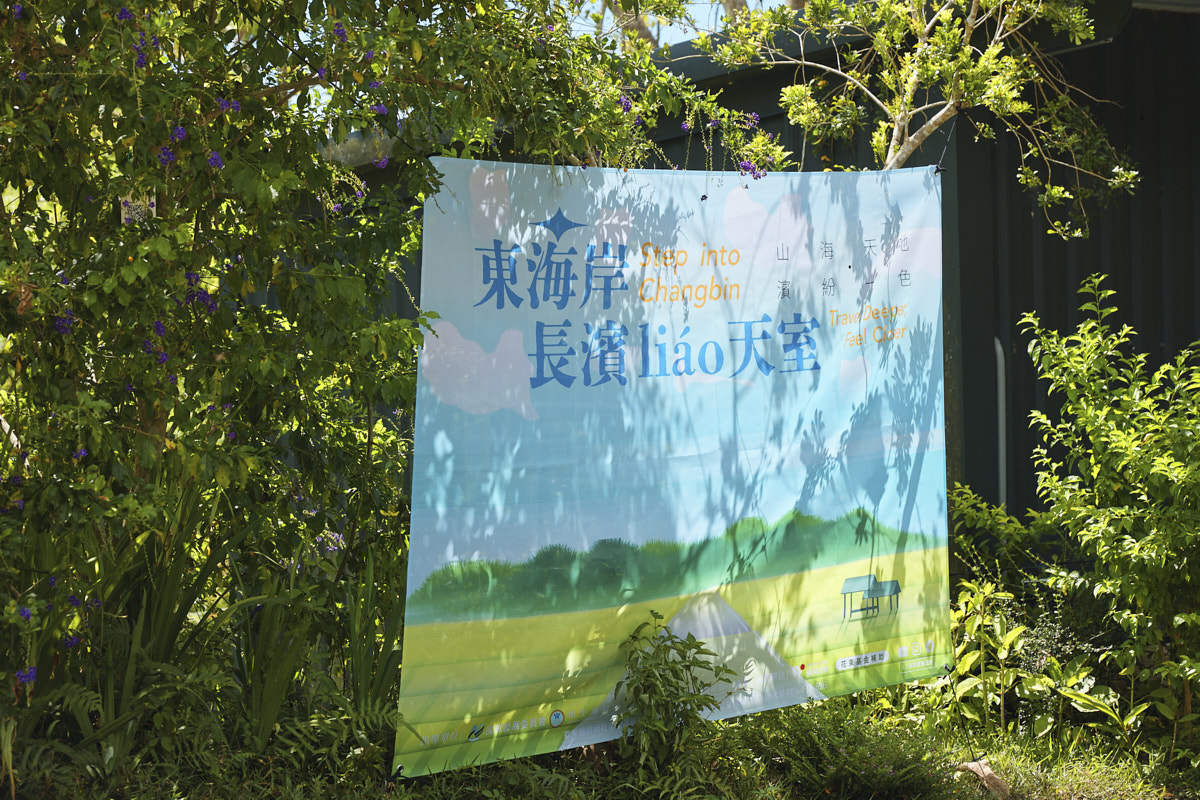 東海岸長濱liao天室 森林療癒．野性探索（1）