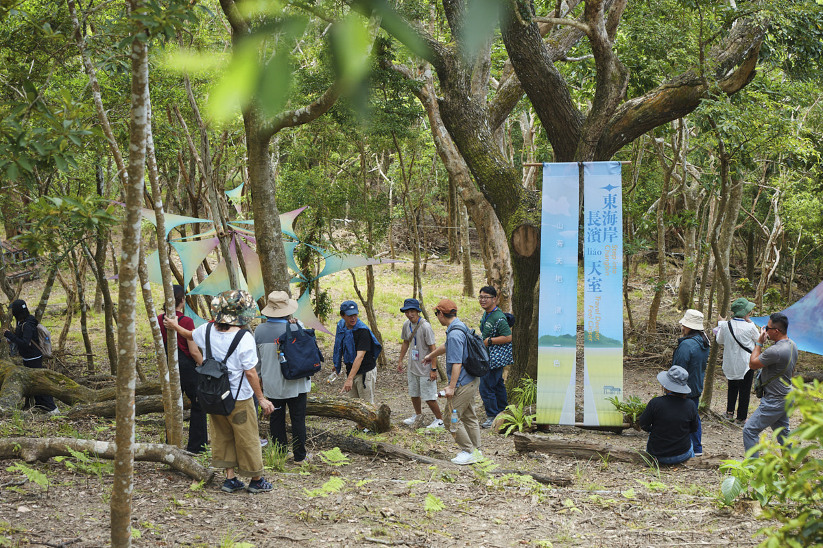 東海岸長濱liao天室 森林療癒．野性探索（2）
