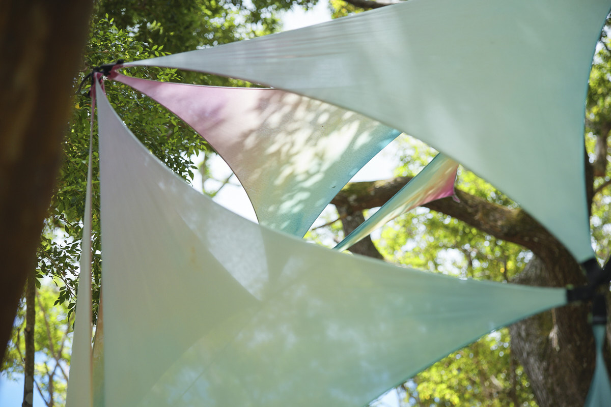 東海岸長濱liao天室 森林療癒．野性探索（4）